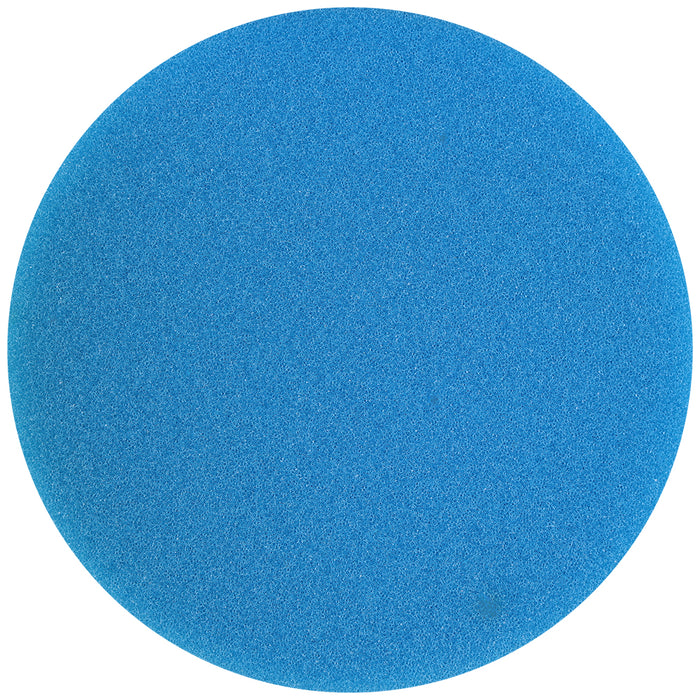 Buff and Shine Orbital/DA Foam Soft Polishing Pad - 4", Blue (2 pack)