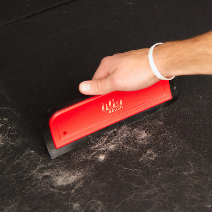Lilly Brush Pro Pet Hair Tool Kit