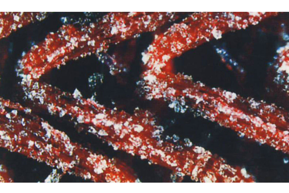 RUPES X-Cut Foam Sanding Discs, 9.45450 - 3", 1500 grit (20 pack)